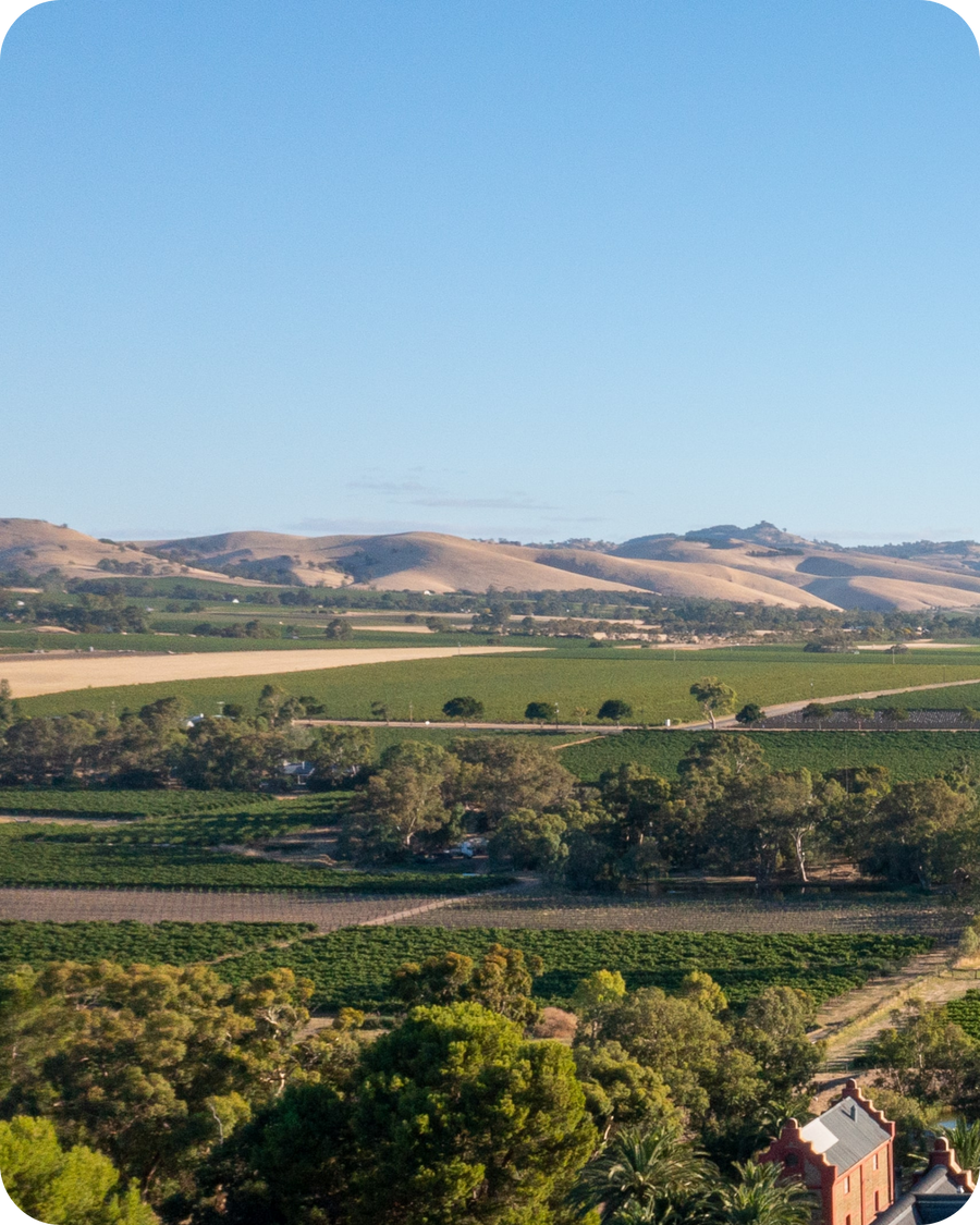 Australian Wine