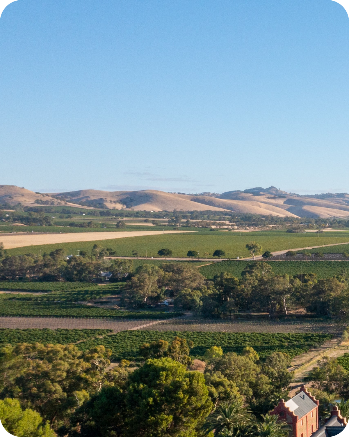Barossa Valley