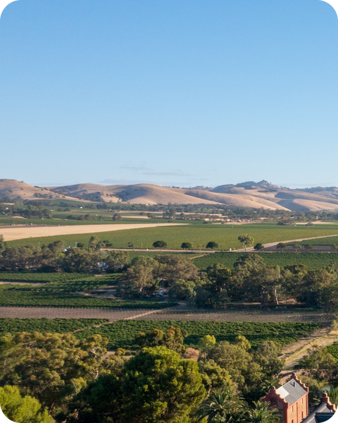 Barossa Valley
