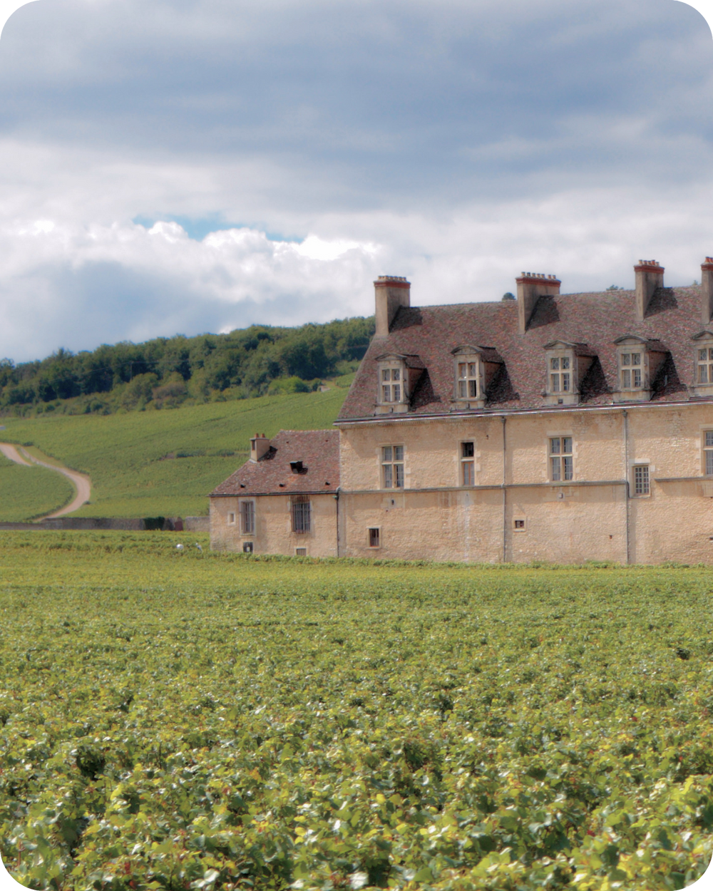French Wines