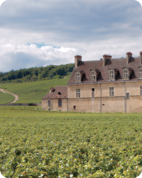 French Wines