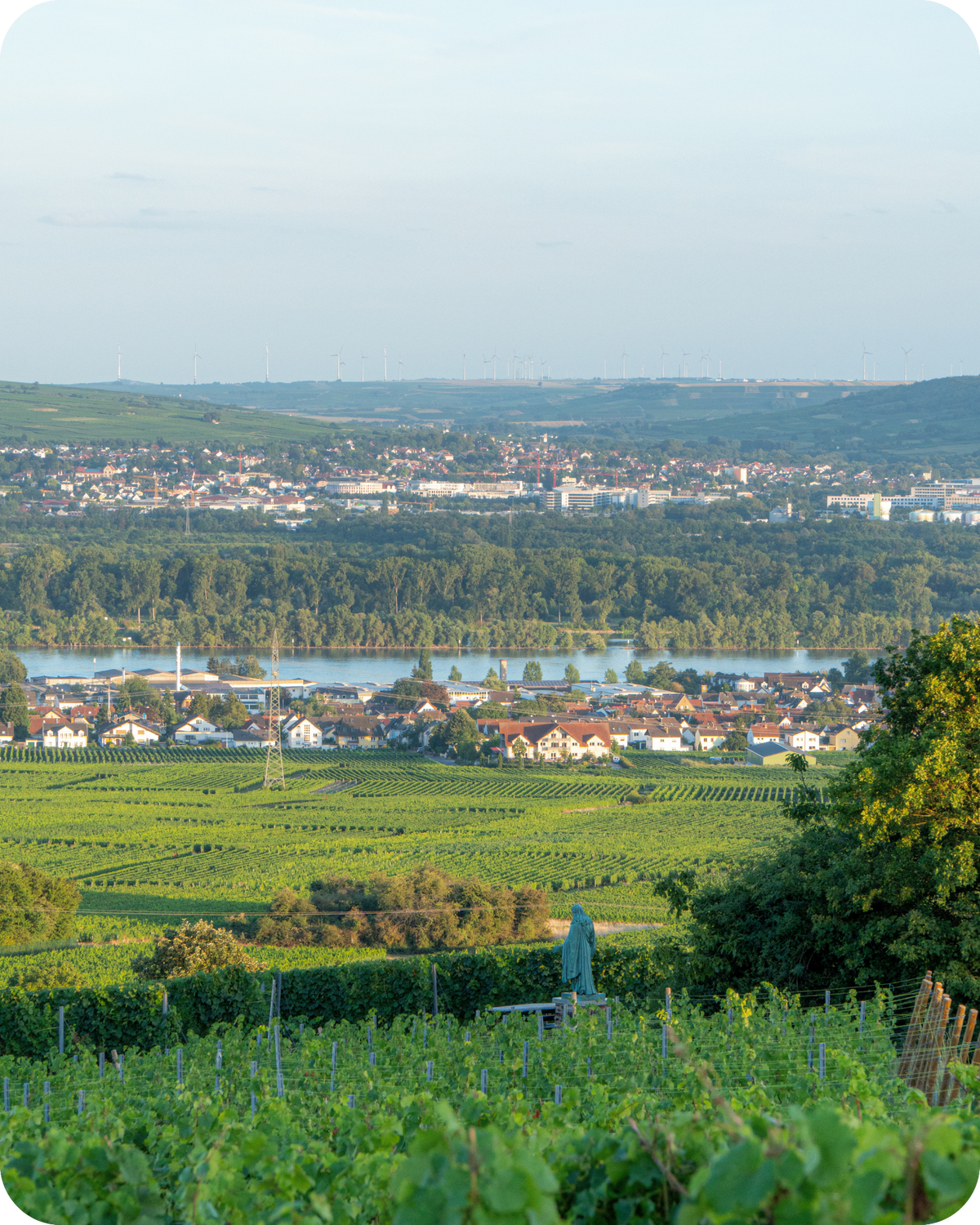 German Wines