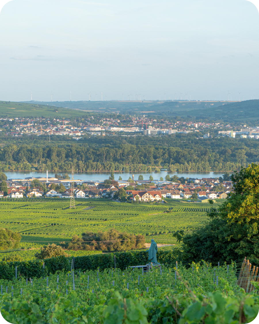 German Wines