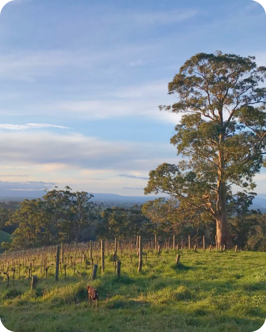 Gippsland