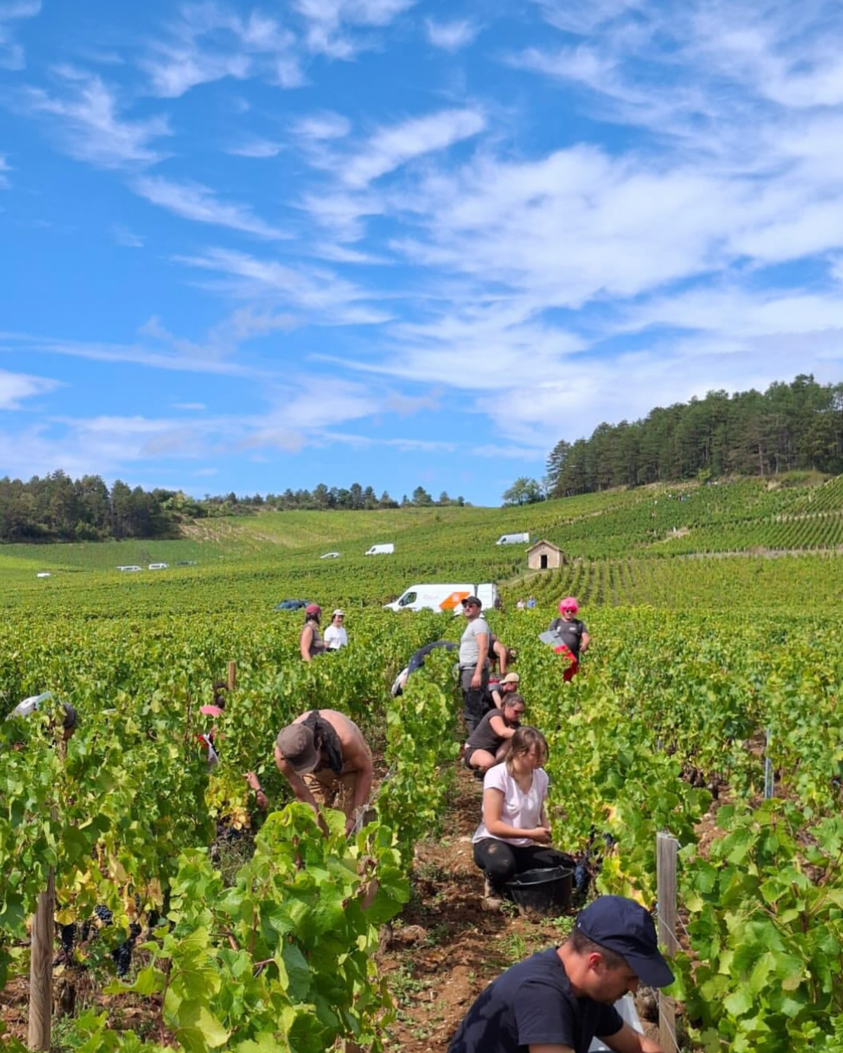 Domaine Derain / Julien Altaber