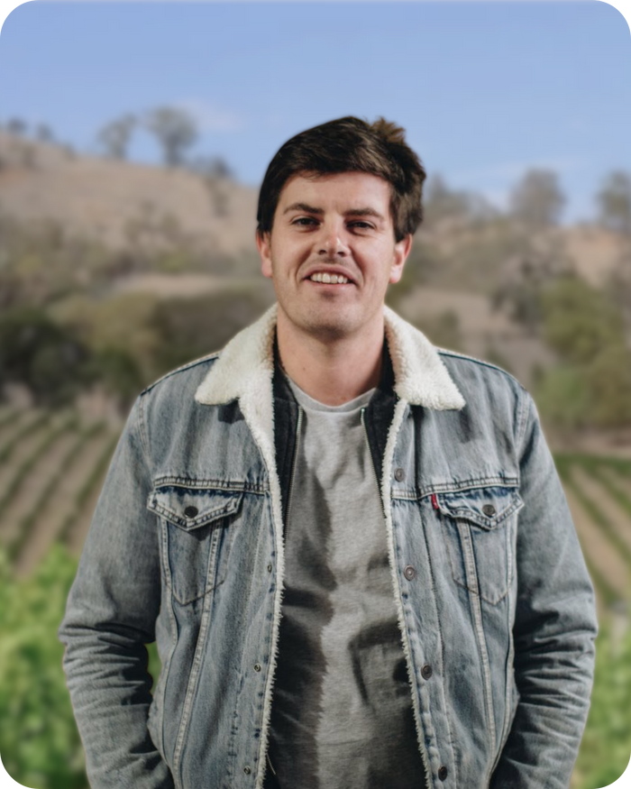 LATTA Vino