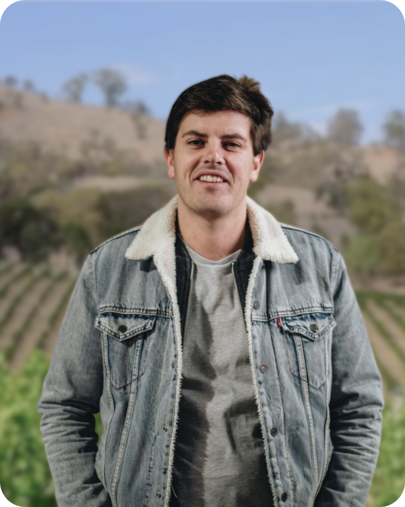 LATTA Vino