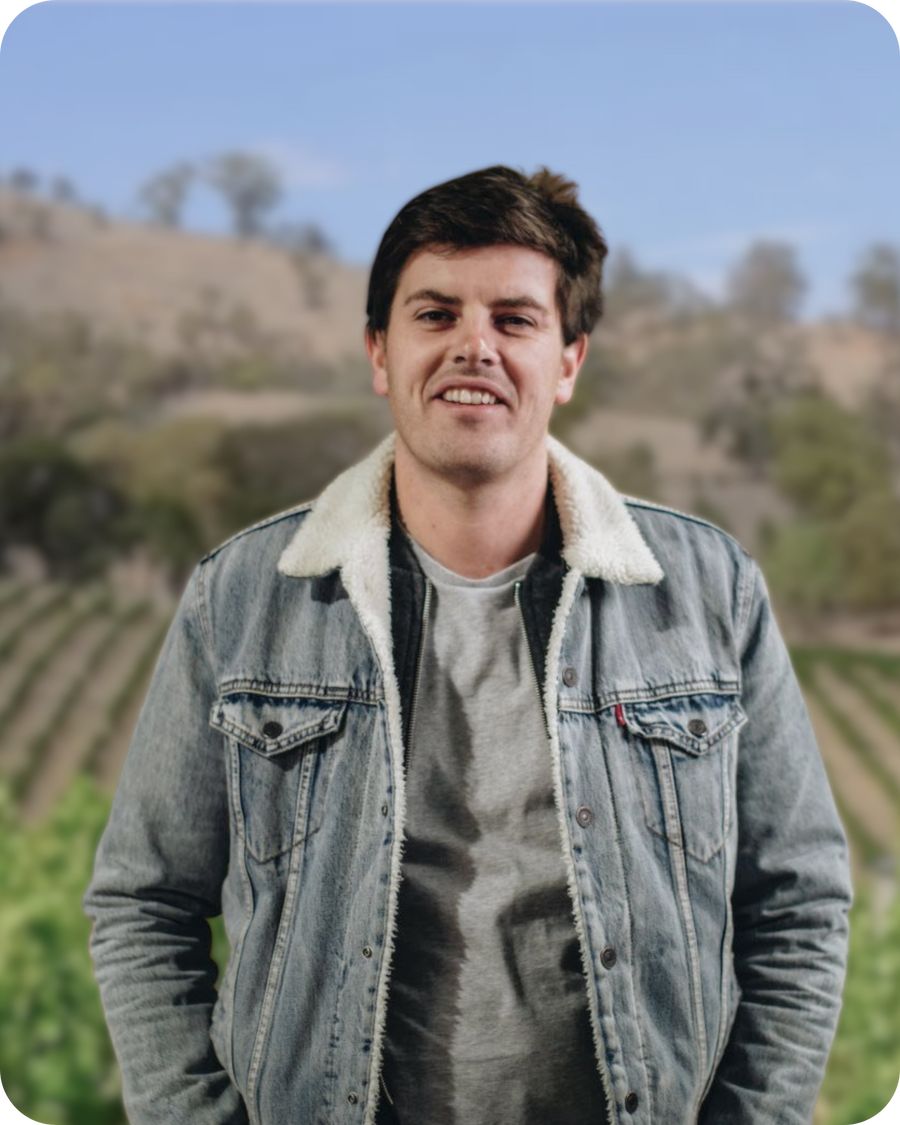 LATTA Vino