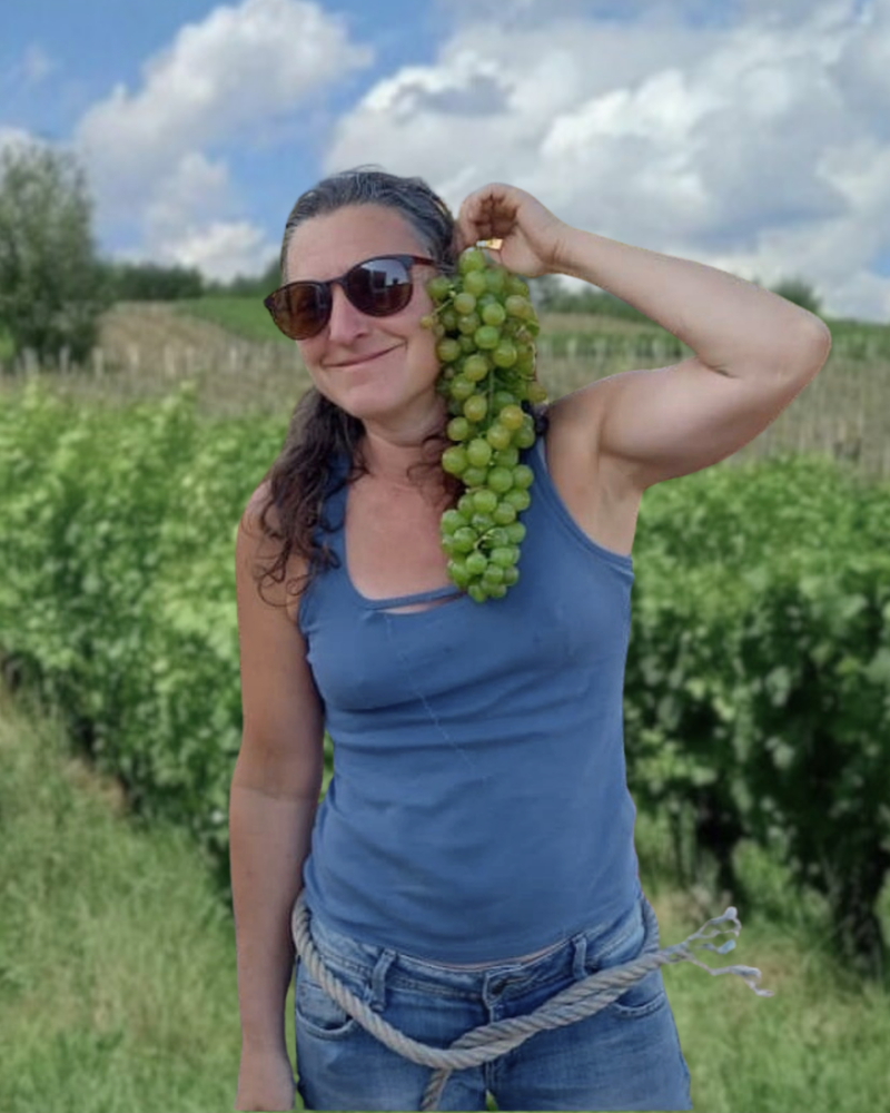 Domaine de l'Octavin
