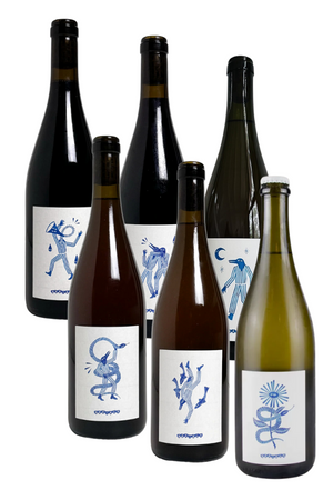6 Pack - DEFIALY Autumn Release