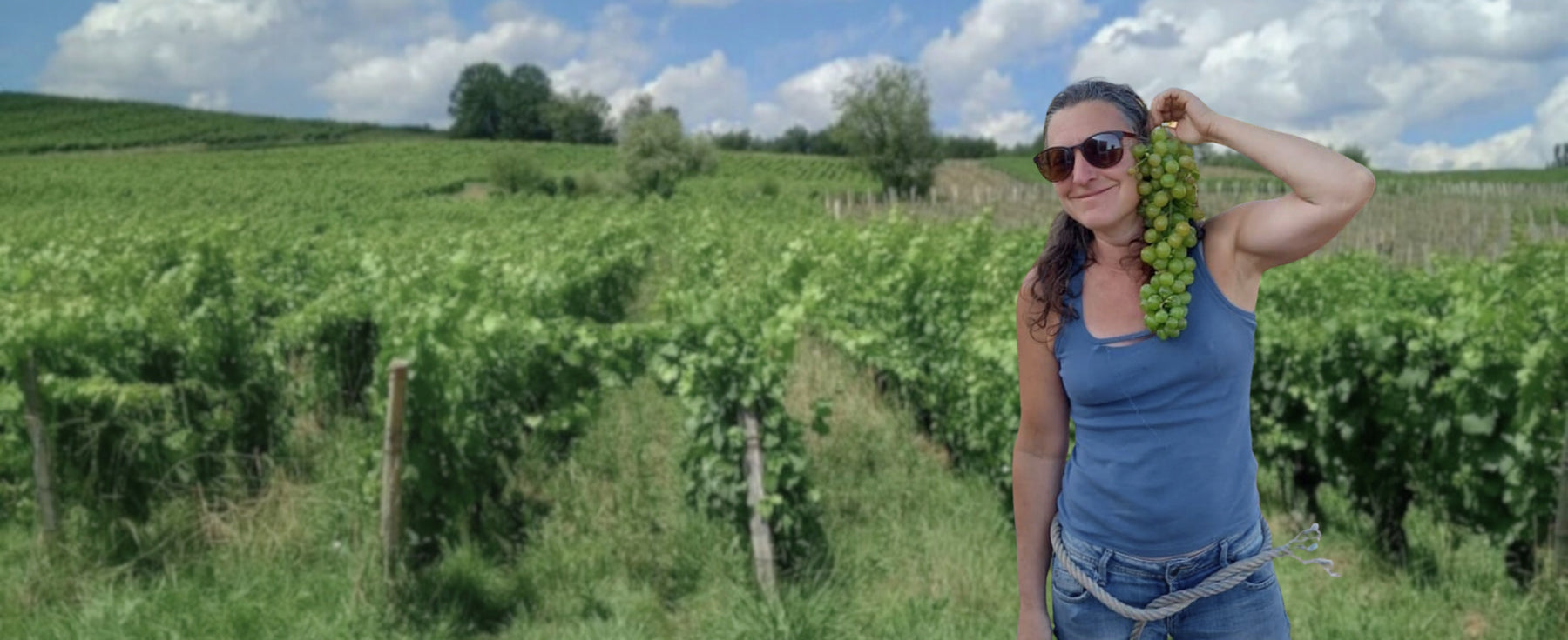 Domaine de l'Octavin