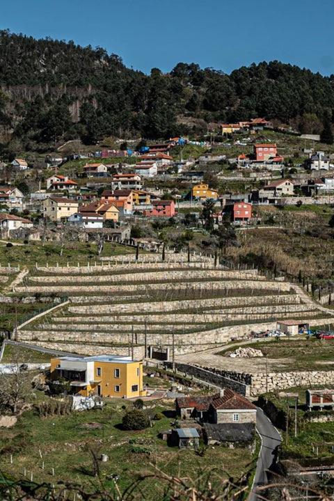2022 Bodegas Pentecostés Rías Baixas Albariño