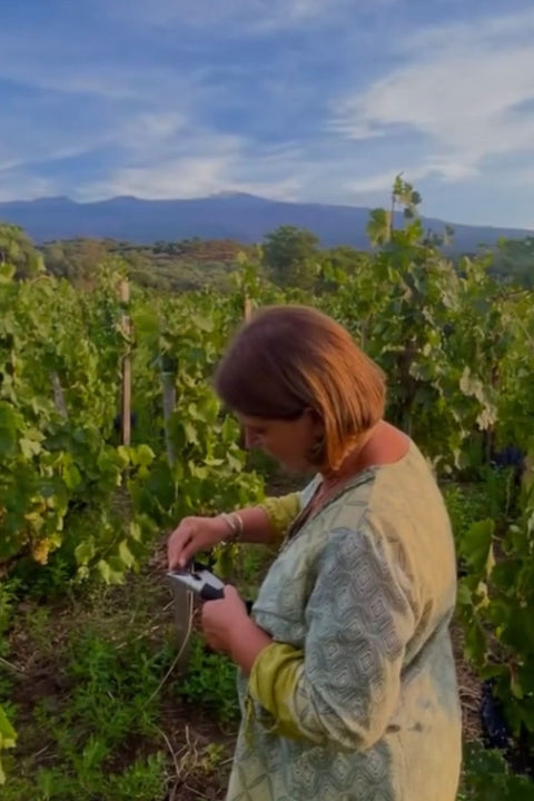 2022 Alice Bonaccorsi Nerello Mascalese