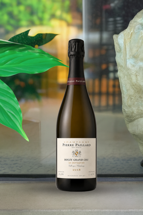 2018 Pierre Paillard Bouzy Grand Cru 'Les Mottelettes' Banc de Blancs