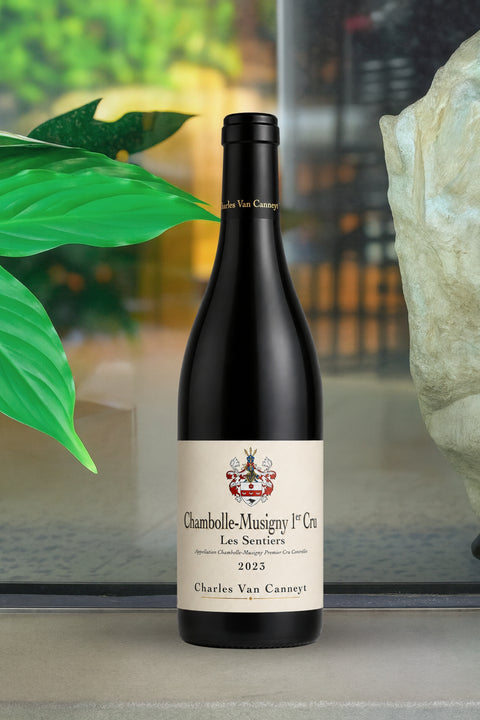 2023 Charles Van Canneyt 'Les Sentiers' Chambolle-Musigny 1er Cru
