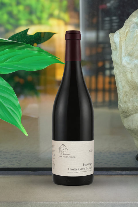 2023 Domaine Hernri Naudin-Ferrand Hautes-Côtes de Nuits Bourgogne