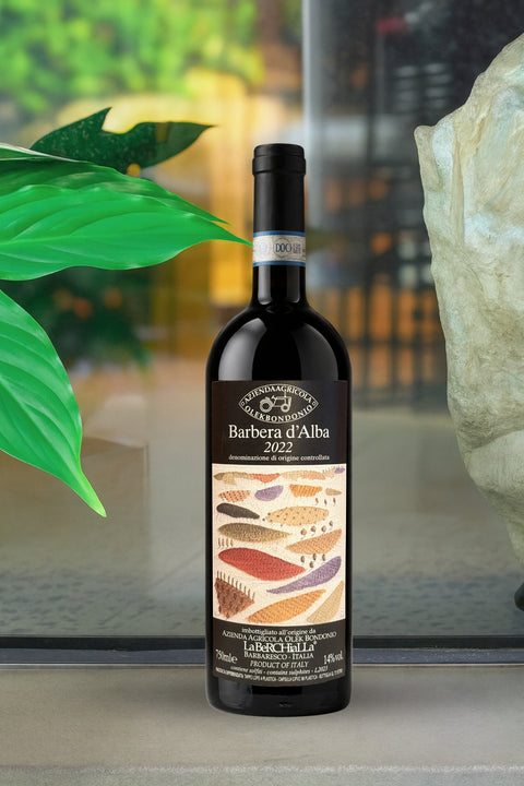 2022 Olek Bondonio Barbera d'Alba