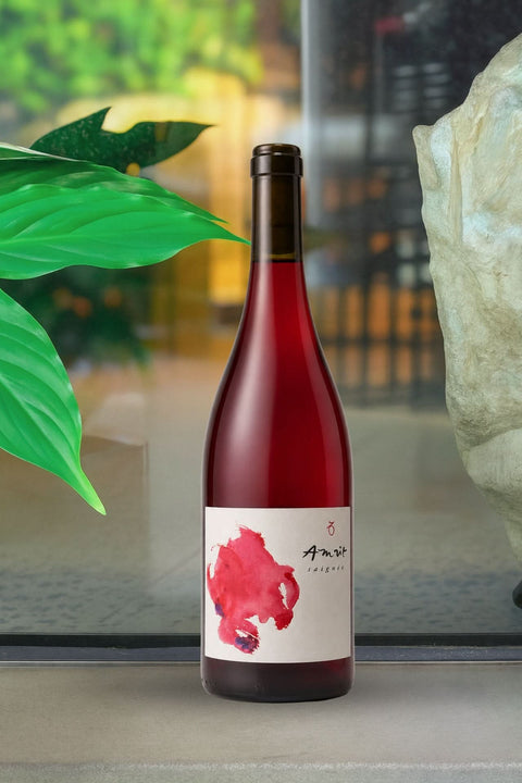 2024 Avani 'Amrit' Saignée