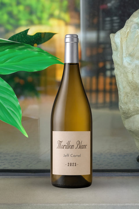 2023 Jeff Carrel 'Morillon Blanc' Chardonnay