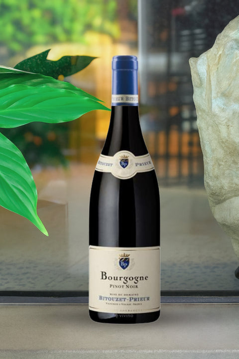 2023 Domaine Bitouzet-Prieur Bourgogne Rouge