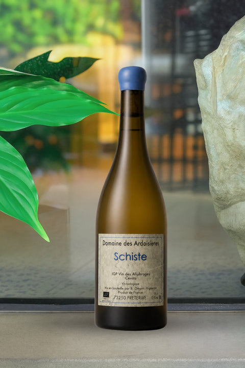 2023 Domaine des Ardoisieres Schiste Blanc