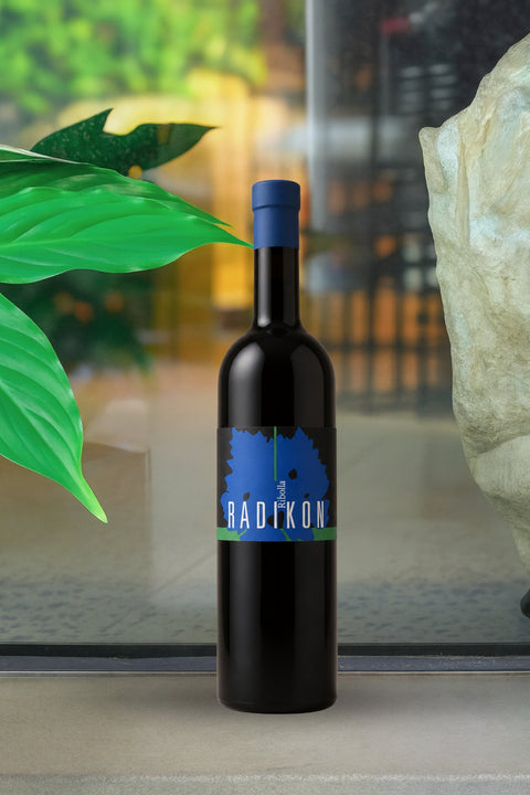 2020 Radikon Ribolla 500ml