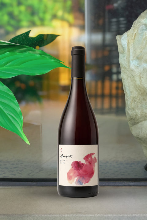 2023 Avani 'Amrit' Pinot Noir