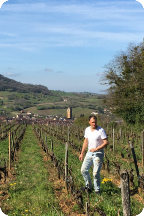 2020 Renaud Bruyère and Adeline Houillon 'Les Tourillons' Arbois Blanc Chardonnay/Savagnin