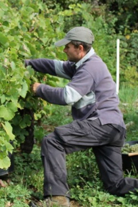 2023 Hughes Béguet 'So True' Rouge