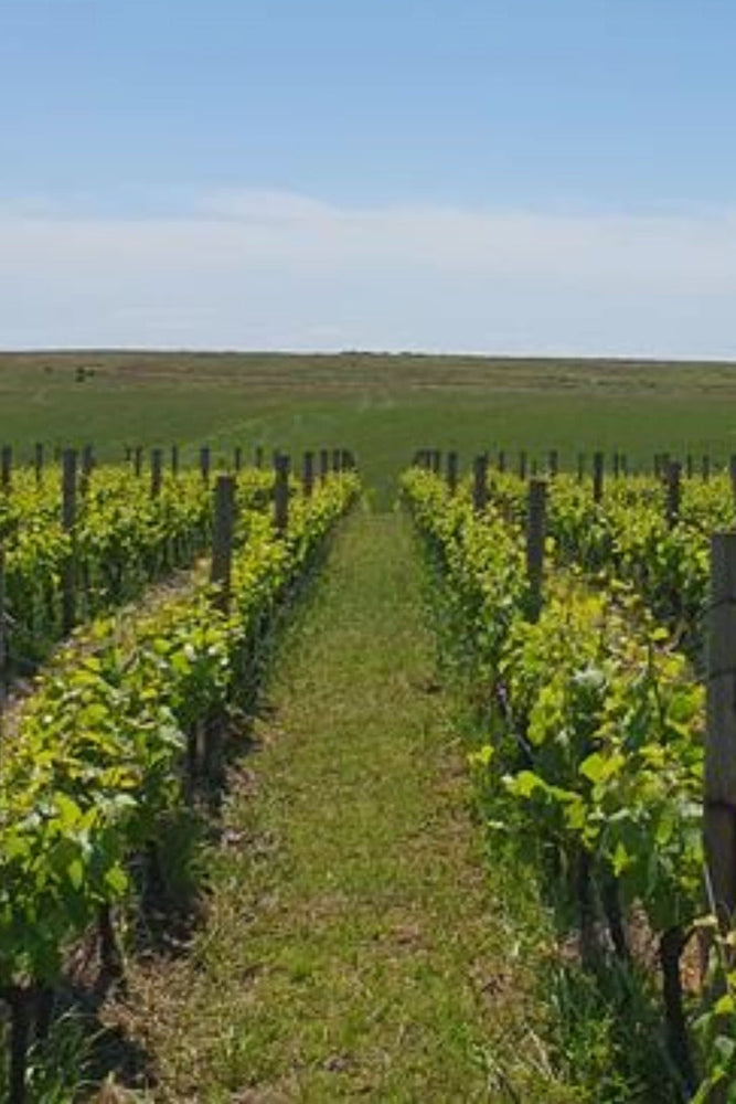 2024 By Farr G.C Chardonnay