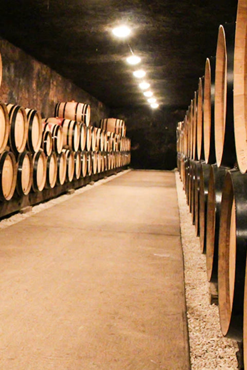 2023 Charles Van Canneyt 'Les Sentiers' Chambolle-Musigny 1er Cru