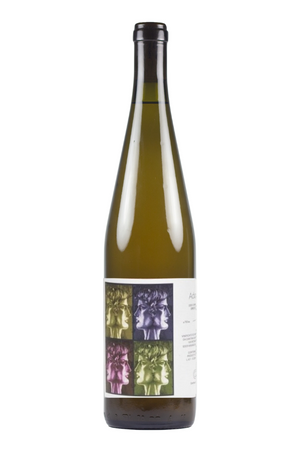 2021 Cantina Giardino 'Adam' Greco