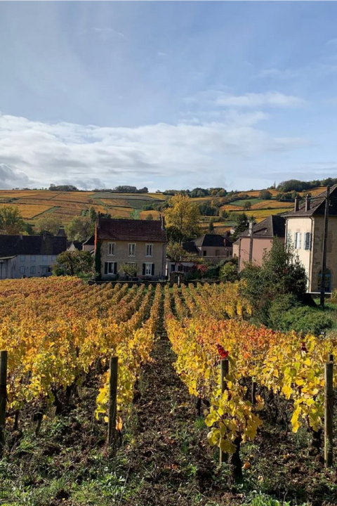2023 Domaine de Cassiopée 'Les Côtés' Hautes Cote de Beaune Bourgogne Blanc