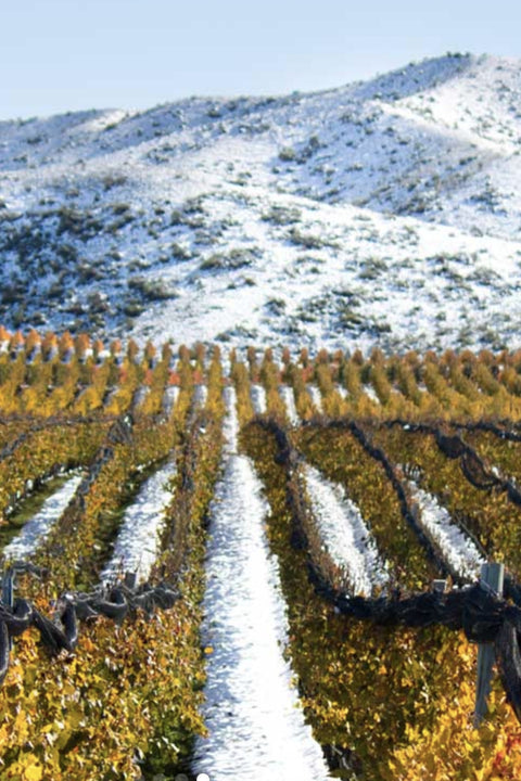2023 Bodega Catena Zapata Malbec
