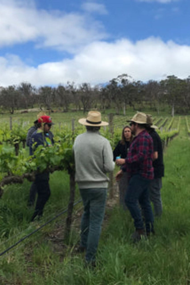 2024 Gentle Folk 'Onkaparinga' Sangiovese