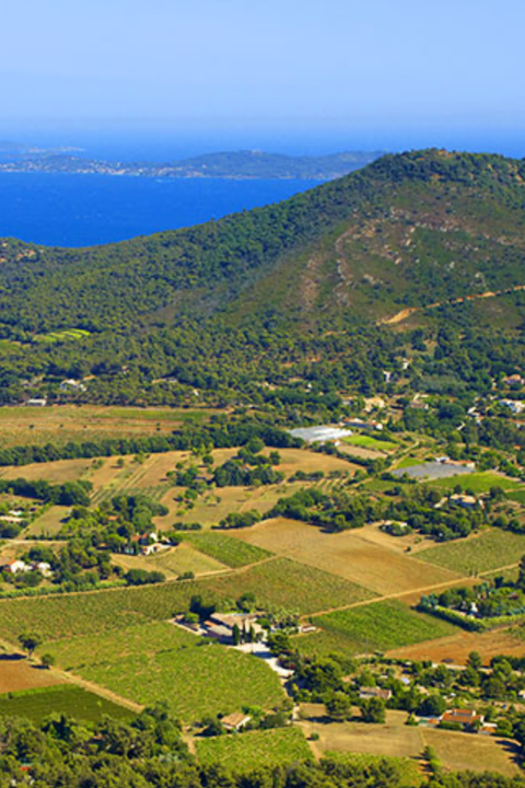 2023 Clos Cibonne 'Tradition' Rosé