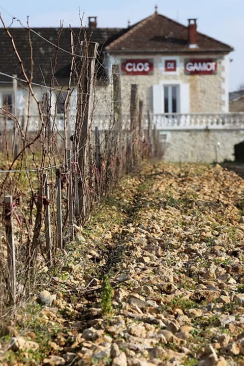 2022 Clos de Gamot 'Le Gamotin' Cahors Malbec