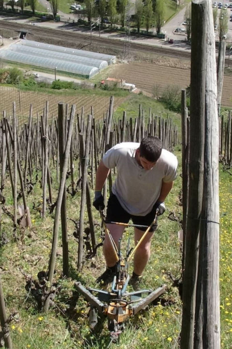 2019 Domaine Clusel-Roch Côte-Rôtie 'La Viallière'