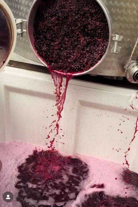2025 DEFIALY 'Symbiosis' Syrah