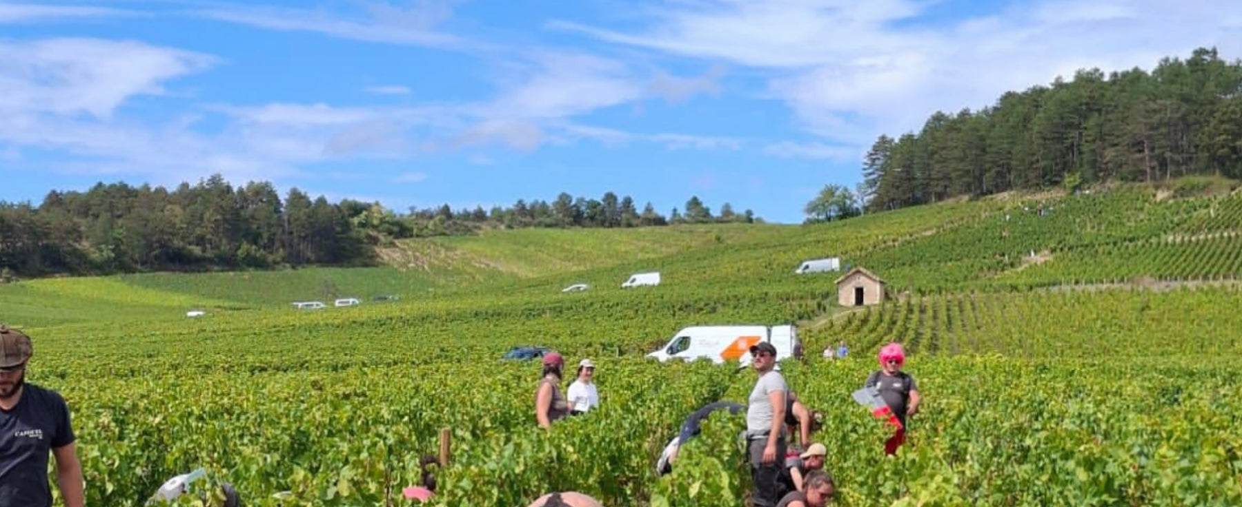 Domaine Derain / Julien Altaber