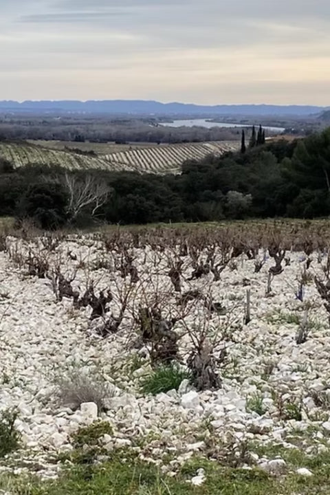 2022 Domaine Duseigneur Lirac 'Antares'