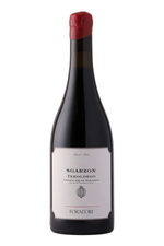 2023 Foradori 'Sgarzon' Teroldego
