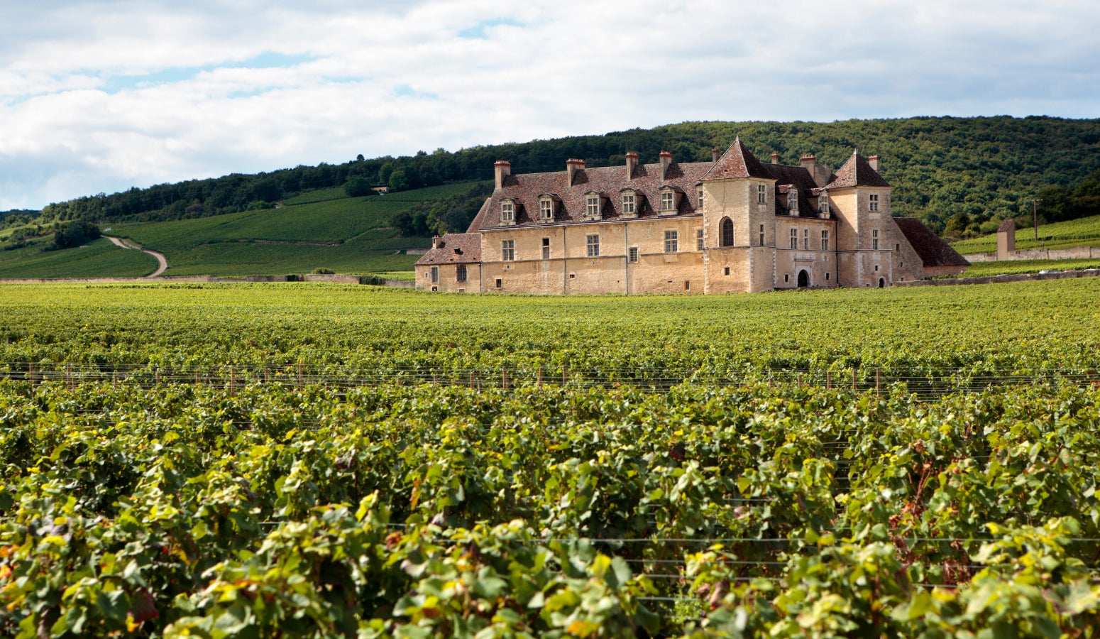 French Wines