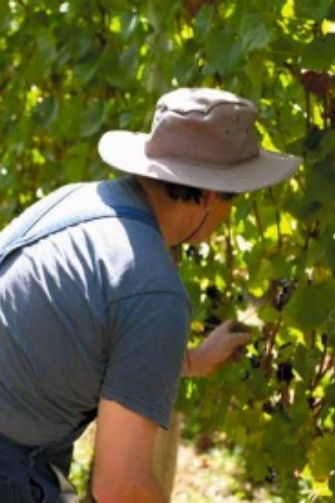 2025 Frankland Estate Riesling