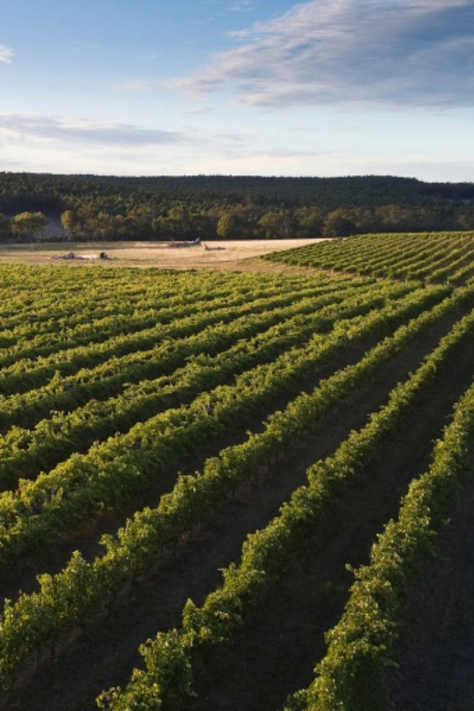 2025 Frankland Estate Riesling