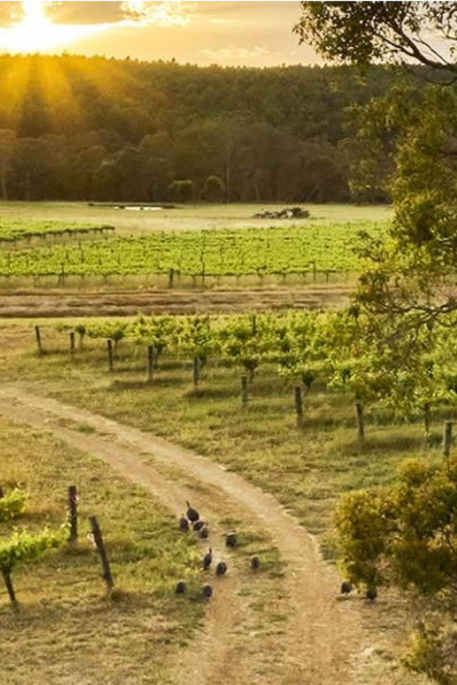 2025 Frankland Estate Riesling