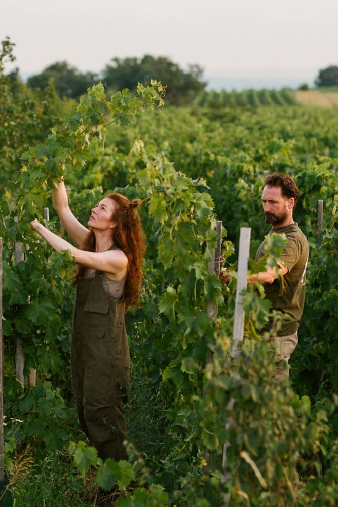 2023 Gut Oggau 'Theodora' Magnum