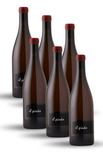 6-pack Cobaw Ridge Il Pinko 2022