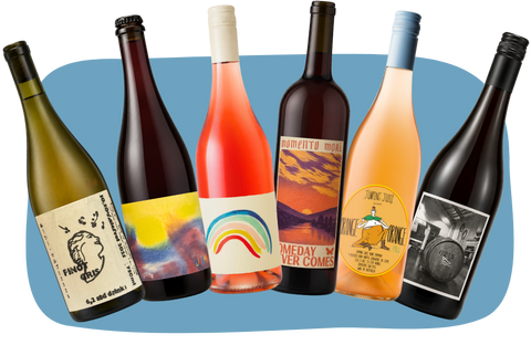 6 Pack - Intro to Natural Wine