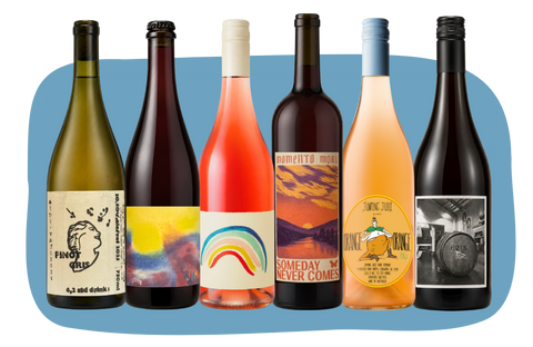 6 Pack - Intro to Natural Wine